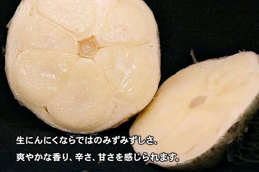 先行受付 青森県産にんにく 幻の生にんにく 5玉（中～大玉）【6月下旬発送】