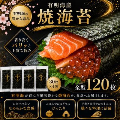 ふるさと納税 玉名市 有明海産　全型焼海苔　120枚(玉名市)
