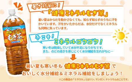 『定期便：全5回』健康ミネラルむぎ茶2L×6本×2箱【500018】