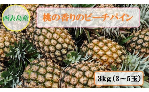 
2024年 先行予約 ピーチパイン 約3kg 3～5玉 桃の香り ますみ農園 パイン 果物 フルーツ パイン
