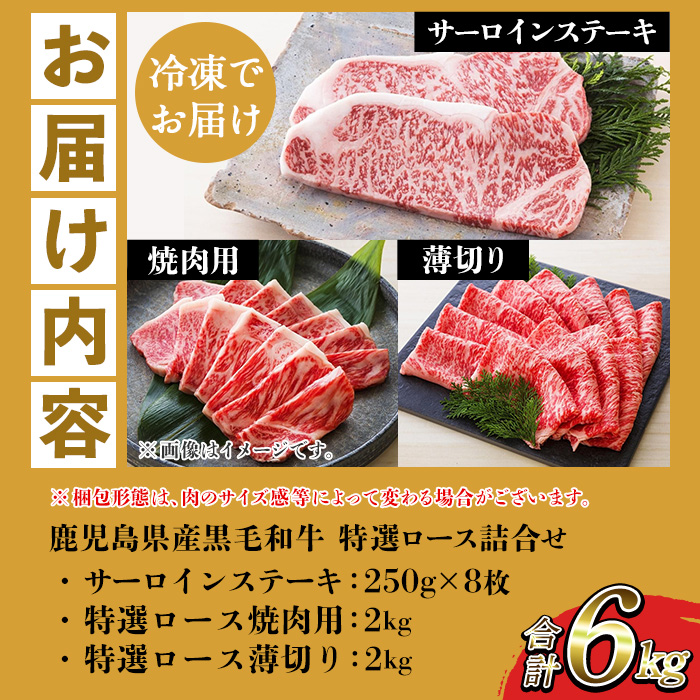 鹿児島県産黒毛和牛 ＜A4等級以上＞サーロインステーキ・特選ロース焼肉用/薄切り (3種・合計6kg) 牛肉 黒毛和牛 国産 九州 鹿児島県産 サーロイン ステーキ ロース 焼肉 焼き肉 すき焼き し