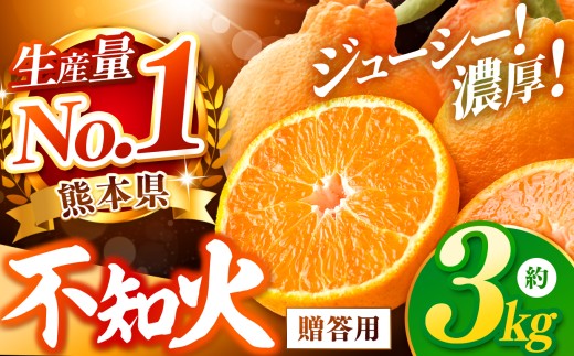 【数量限定】不知火 約3kg | みかん しらぬい 贈答用 秀品 先行予約 オススメ 蜜柑 柑橘 果物 フルーツ 熊本県 玉名市