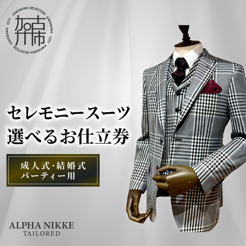 【ふるさと納税】【レビューキャンペーン】セレモニースーツ ＜上下セット＞ ＜ツーパンツスーツ＞ ＜ベスト付きスーツ(スリーピース)＞《 スーツ オーダースーツ セレモニースーツ パーティー 結婚式 プレゼント 》