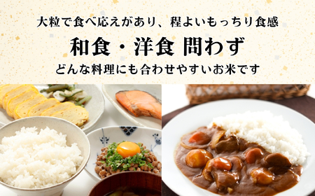 【先行予約】[令和７年産]つきあかり 精米 10㎏  ＜2025年9月上旬より発送＞ 奥信濃飯山～木内ファームのお米～ (7-13B) 長野県 飯山市 おすすめ ランキング おいしい 高評価 大人気 