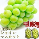 ＼高評価★4.7以上／ 約1.3kg 2房 山形 の シャインマスカット 人気 種なし 高級 ぶどう 【2024年9月～10月発送分先行受付】