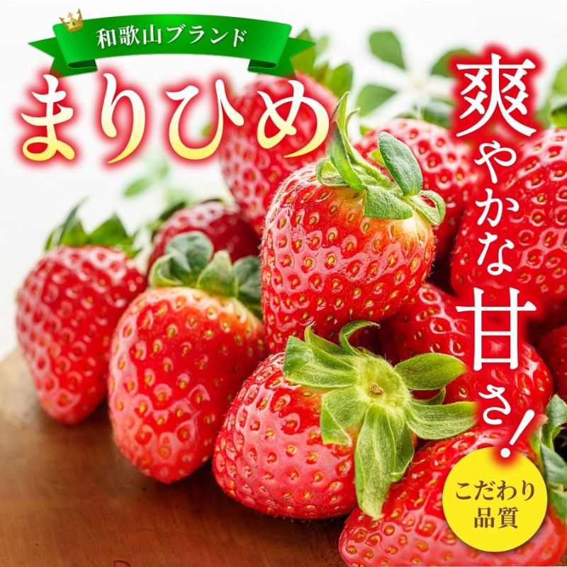 【ふるさと納税】 【先行予約】まりひめ いちご 12粒〜15粒入り×2パック or 4パック（500g or 1kg） 2026年1月中旬頃～2026年3月中旬頃に順次発送予定（お届け日指定不可）/ いちご 苺 まりひめ 和歌山 フルーツ 果物 くだもの