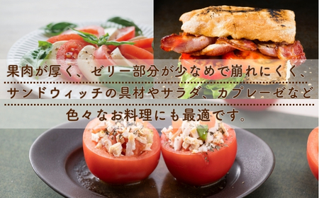 熊野薬草園の大玉トマト（1.4㎏×2箱） トマト 大玉トマト 熊野
