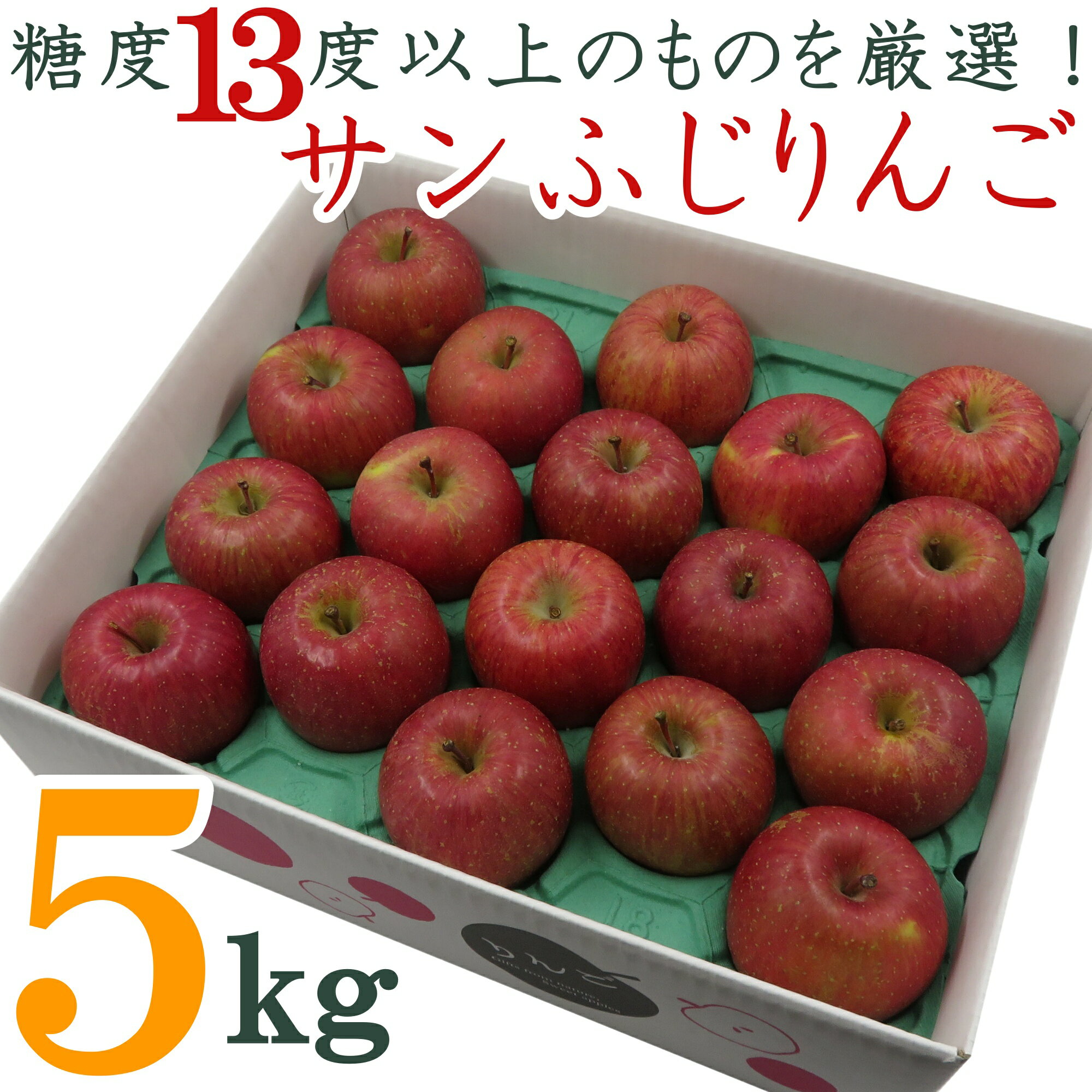 【ふるさと納税】【2025年11月～12月発送】糖度13度以上厳選！サンふじりんご5kg_H127(R7)