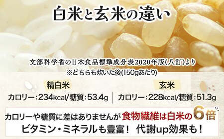 《令和7年産！》『100%自家生産玄米』善生さんの自慢の米 玄米ななつぼし 10kg※一括発送 a104-116