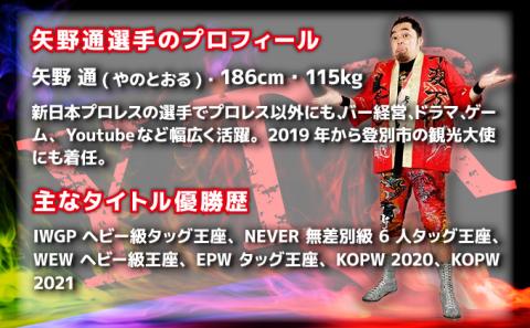 登別市×矢野選手　ふるさと納税限定コラボTシャツ （白） L　[da-0357]