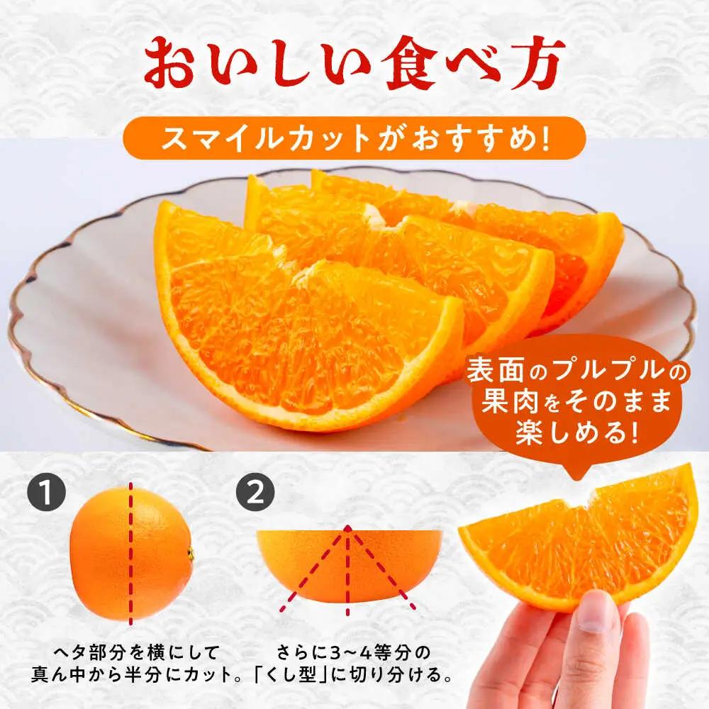 27年2月下発送 せとかみかん約2.5kg化粧箱入り せとか果物ギフトZBN002