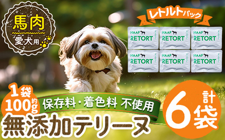 a1087-C ＜保存料・着色料 不使用＞愛犬用無添加テリーヌ レトルトパック 馬テリーヌ6袋(1袋約100g・合計約600g)【Nフードサービス】姶良市 馬 テリーヌ 犬 ドッグ ペット フード エサ レトルト おやつ ごはん ご飯 間食 ご褒美