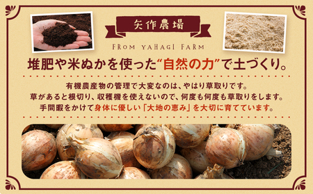 R7年産先行受付　有機農産物　玉ねぎ　20kg　(有)矢作農場/014-36224-b01B　玉ねぎ 玉ねぎ 玉ねぎ 玉ねぎ 玉ねぎ 
