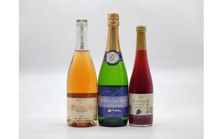 塩尻産スパークリングワイン 3本セットB｜ワイン わいん スパークリング セット 長野県 塩尻市