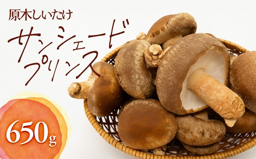 
                  352.原木しいたけ サンシェードプリンス ※2025年12月中旬～2026年2月上旬頃に順次発送予定｜しいたけ 椎茸 野菜 きのこ 新鮮 肉厚 旨味 北栄町 鳥取県 おすすめ 人気
                