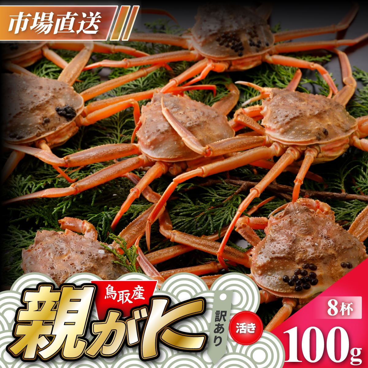 
                  【活物】訳あり親ガニ(セコガニ) 100g　8杯
                