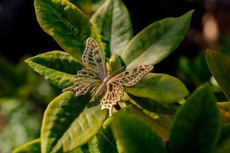 アゲハ蝶ピンブローチ　ゴールドカラー　All insects　【セレブ御用達】【世界10個限定】