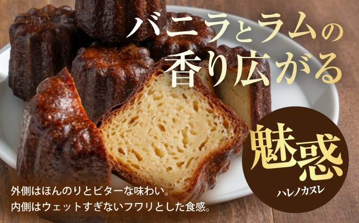 【チーズケーキ専門店】お菓子の詰め合わせ 定番ギフトセット /ギフト スイーツ チーズケーキ バスクチーズ カヌレ フィナンシェ