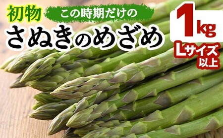 ＜先行予約！2027年2月下旬以降順次発送予定＞初物！アスパラガス さぬきのめざめ(約1kg/Lサイズ以上) 香川県 国産 野菜 アスパラ 新鮮 冷蔵便【man091】【Aglio nero】