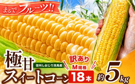 規格外品（形・サイズ不揃い）となりますが、形やサイズが不揃いなだけで味はそのまま！
