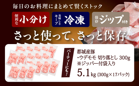 【2026年2月お届け】都城産豚切り落とし5.1kg(ジッパー付袋入り)_18-1503-2602