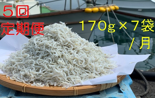 
【5回定期便】岡本水産加工のちりめんじゃこ（毎回170ｇ×7袋お届け）冷凍便 シラス 無添加 釜揚げ しらす丼 ちりめん丼【J00030】
