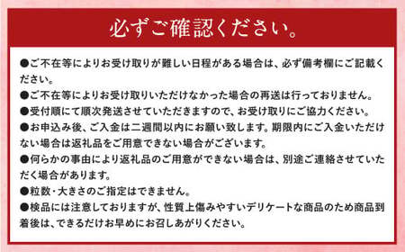 【3回定期便】【先行予約】大粒 あまおう 等級DX 総重量 約3,360g いちご 苺 果物 フルーツ 【2026年1月上旬～3月下旬迄順次発送予定】