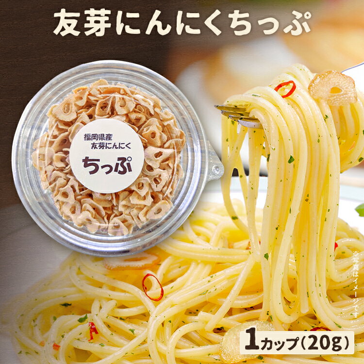 【ふるさと納税】友芽にんにくちっぷ 友芽にんにく にんにく 2000円 ガーリック にんにくスライス にんにくチップ ガーリックスライス 調味料トッピング サラダ パスタ ラーメン カレー 炒め物 肉 福岡県 福岡 九州 グルメ お取り寄せ メール便（ポスト投函）