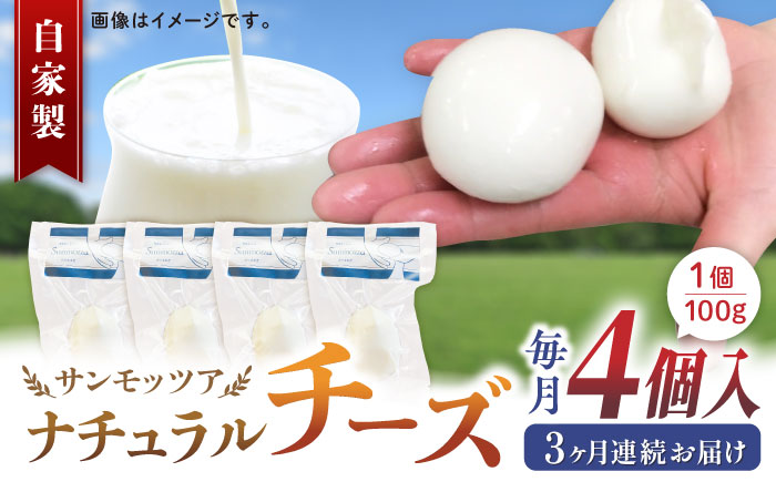 【全3回定期便】自家製 ナチュラルチーズ サンモッツア 4個 ( 100g × 4個 ) / チーズ モッツァレラチーズ  乳製品 熊本 山都町【山の未来舎】[YBV016] 