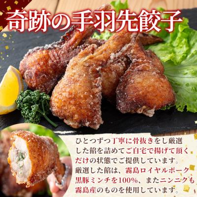 ふるさと納税 霧島市 霧島黒豚使用!奇跡の手羽先餃子(5個×2P 計10個)【MAGONIMO餃子】K-285-A |  | 02