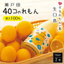 【ふるさと納税】尾道市瀬戸田町産 40コのれもん2本 | レモン れもん レモン果汁 100％ フルーツ 果物 飲み物 飲料 名産 特産 お取り寄せ ご当地 名産品 特産品 支援品 返礼品 返礼 瀬戸田レモン 国産 柑橘 レモン汁