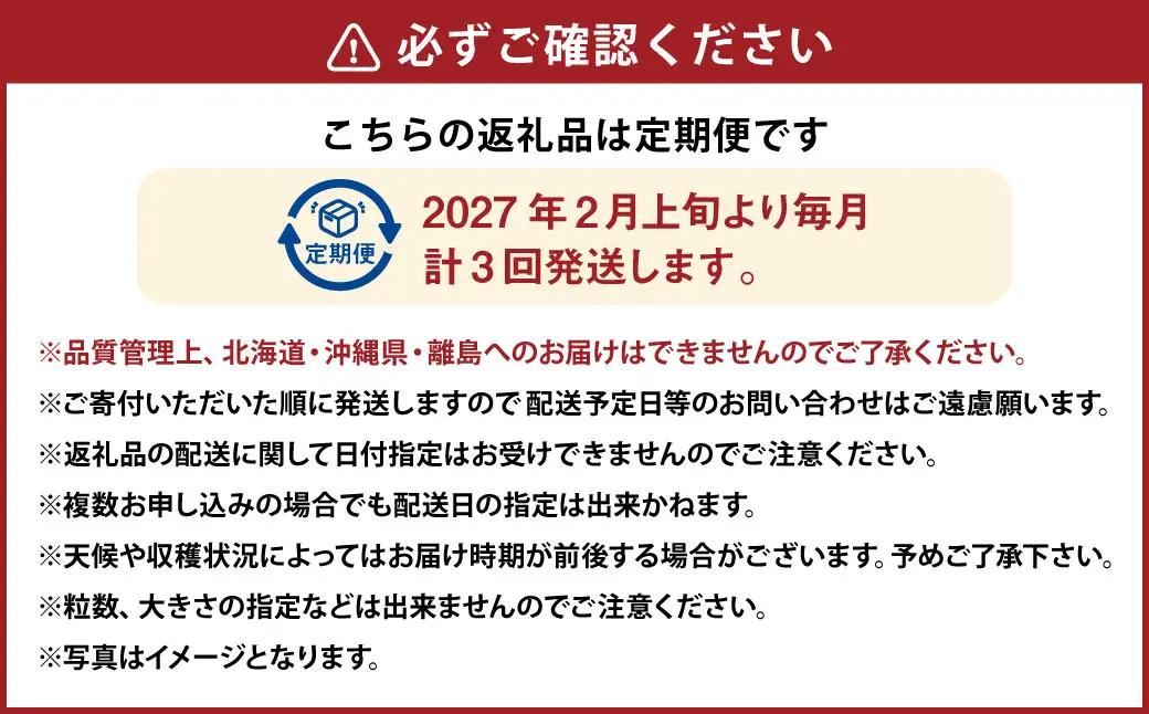 【3ヶ月定期便】あまおう2パック×3回発送 あまおう いちご イチゴ 苺 果物 くだもの フルーツ【2027年2月上旬～4月下旬発送予定】