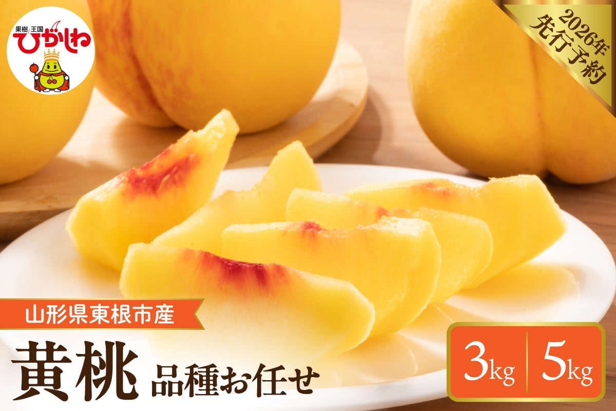 
            【2026年産先行予約】≪内容量が選べる≫　 採れたて黄桃(品種お任せ)  【約3kg (7～12玉)・約5kg (12～18玉)】晴天畑提供 山形県 東根市 hi026-057-o
          