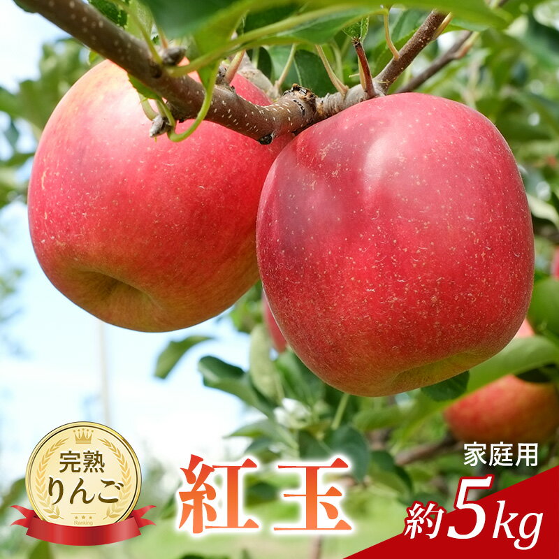 【ふるさと納税】先行予約 りんご 紅玉 約5kg 家庭用 2026年 令和8年発送 完熟りんご・外観は不揃いだけど美味しいよ 果物 くだもの フルーツ 林檎 リンゴ 旬の果物 旬のフルーツ 信州 長野 長野県　お届け：2026年10月上旬～10月中旬まで