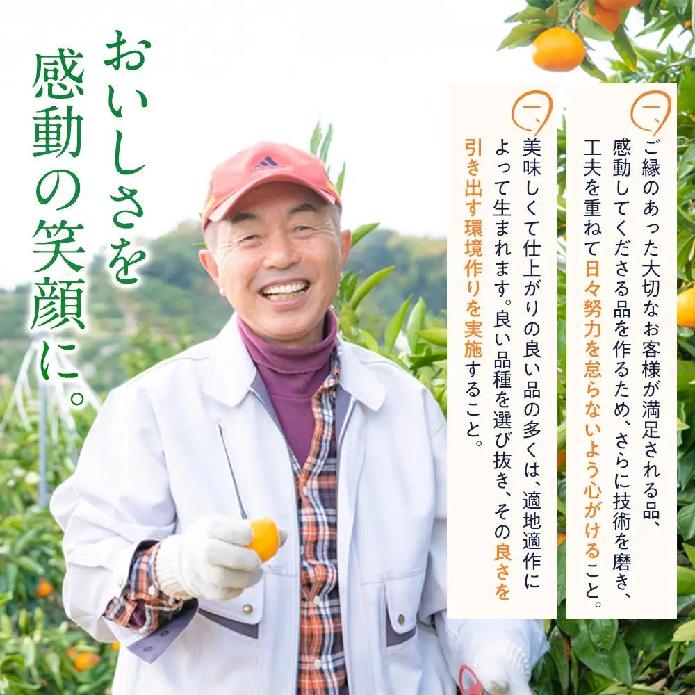 有田みかん 約3kg みかん 2S～2Lのいずれか 秀品または優品 しにせの味