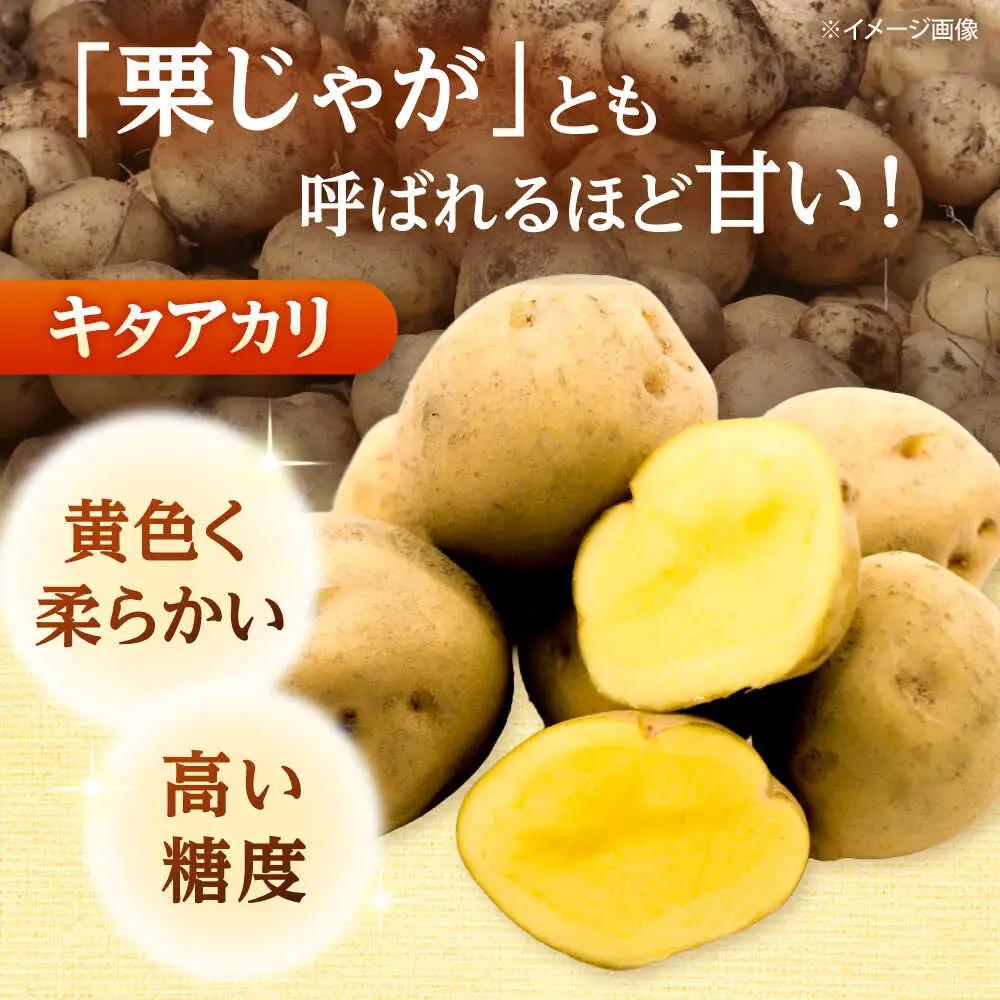【先行予約】 じゃがいも キタアカリ 10kg [BPAM025] じゃがいも