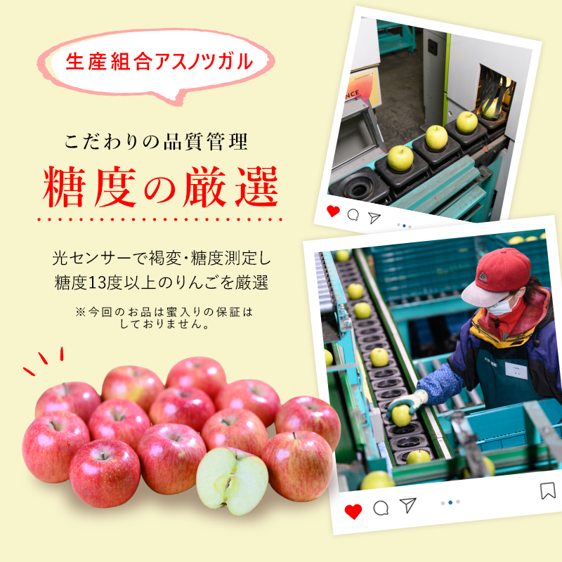 りんご【11月～2月発送】糖度13度以上 訳あり品 家庭用 シナノスイート 約3kg【青森りんご】