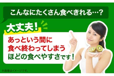 キウイフルーツ 約 3.6kg 約 33玉 JA東とくしま 《1月上旬-3月下旬頃出荷》キウイ キウイフルーツ 果物 フルーツ 徳島県 上勝町 送料無料 常温 便 st-p