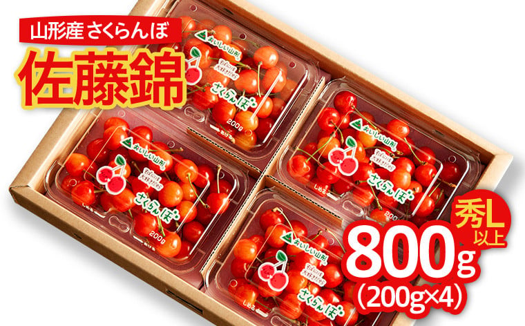 
            山形のさくらんぼ 佐藤錦 800g Lサイズ以上(200g×4パック) 【令和7年産先行予約】FS24-551くだもの 果物 フルーツ 山形 山形県 山形市 2025年産
          