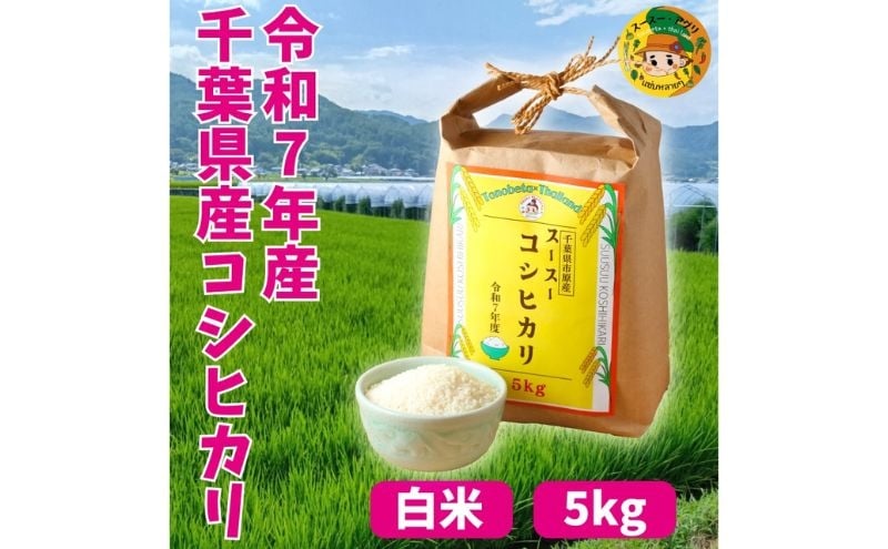
            お米 千葉県市原市産 スースーコシヒカリ 5kg 米 コメ 白米 コシヒカリ こしひかり ふっくら 甘み 上品な香り 冷めても美味しい 市原市 千葉県 [№5689-2455]
          