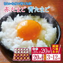 【ふるさと納税】【選べる回数】赤たまご 青たまご 各10個 計20個 1回～12回 | 保坂農場 アローカナ あろーかな 赤卵 ミックス アソート 卵 たまご 赤玉 青玉 赤い卵 青い卵 定期便 定期 3回 6回 12回 君津市産 千葉 君津 きみつ 房総