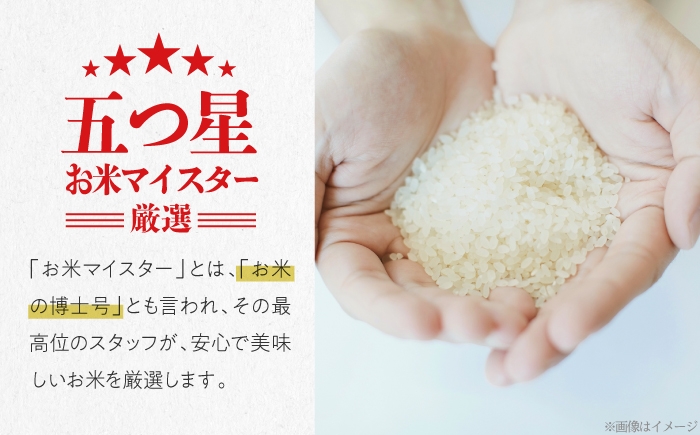 米 こしひかり 30kg 米 お米 白米 精米 こめ おこめ ごはん ストック 国産 広島県 三次産 コシヒカリ お米 30キロ