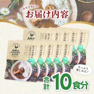 日本一地鶏 阿波尾鶏　骨つき地鶏のごちそうカレー 10人前セット カレー レトルト 阿波尾鶏 10食入り AWAODORI LAB