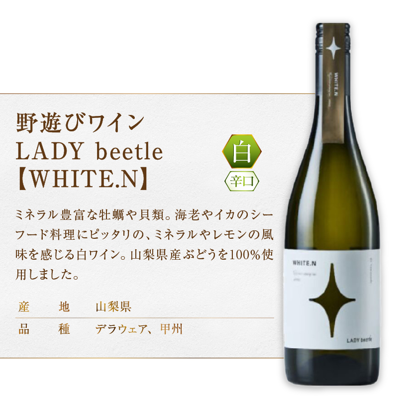 フジクレール 野遊びワイン LADY beetle【WHITE.N】【GREEN.N Sparkling】【ORANGE.N】3本セット（MG）D6-650