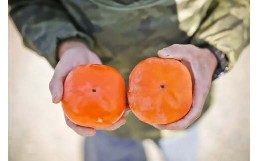 【高島屋選定品】＜中村農園＞三重の安心食材認定　中村農園の次郎柿　大きめサイズ10個（3ｋｇ前後） TSY-05-01