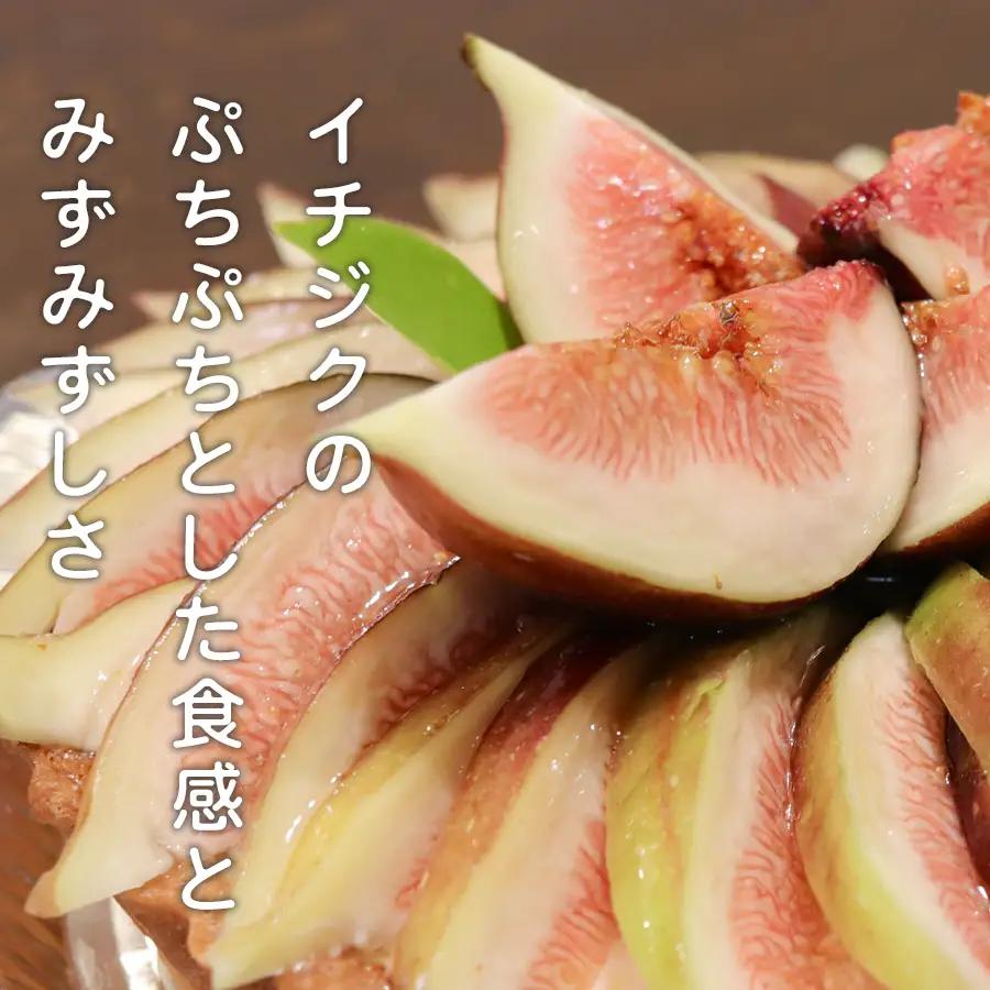 いちじく レアチーズタルト いちじくたっぷり タルト イチジク 冷凍 スイーツ 洋菓子 デザート 季節限定 お取り寄せ