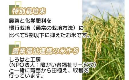 ＜令和5年度 特別栽培米「粋」ヒノヒカリ5kg ＞ ※入金確認後、翌月末迄に順次出荷します。【c857_kh_x4】