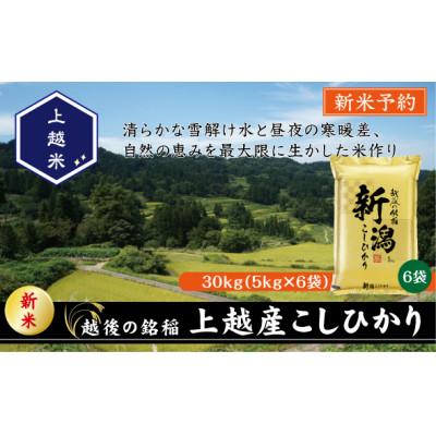 ふるさと納税 上越市 【令和7年産新米先行予約】食味鑑定士厳選　新潟県上越市産こしひかり　合計30kg