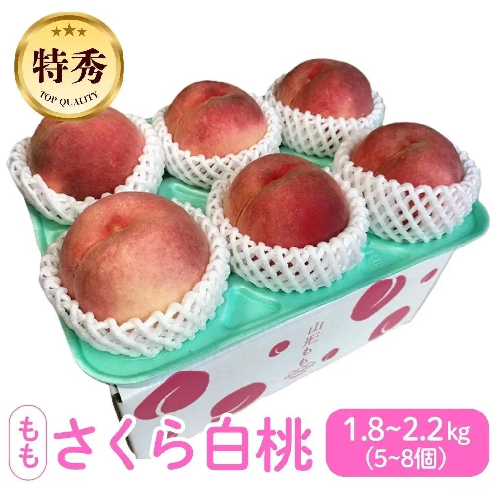 太陽の恵【特秀品】さくら白桃【２ｋｇ箱に１.８ｋｇ～２.２ｋｇ詰め】　0106-2604