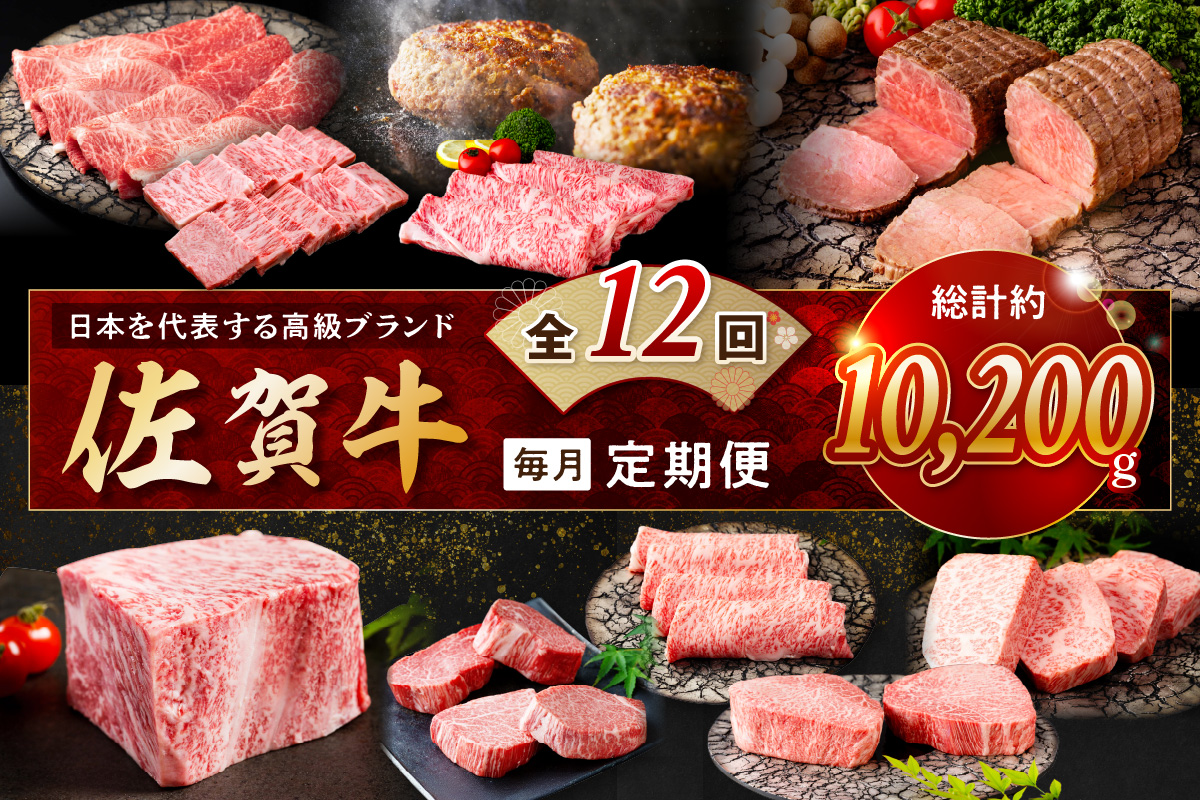 【発送月固定 定期便】肉のプレミアム定期便! 毎月 佐賀牛 をお届け!全12回 J1173
